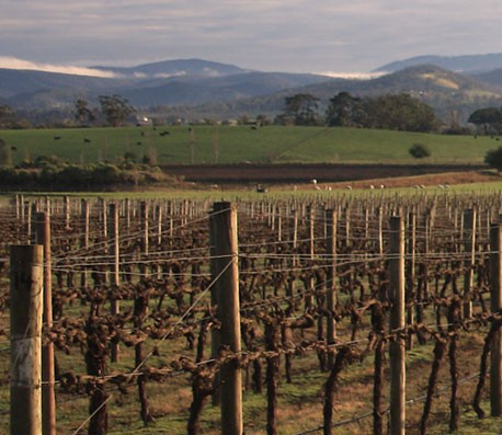 短信轰在线轰炸